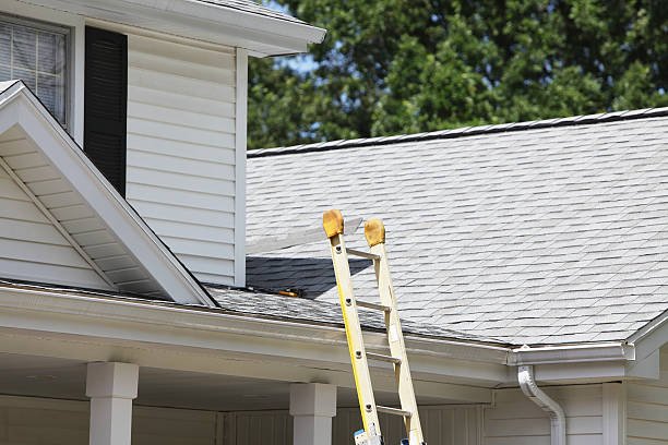 Best Custom Siding Design  in Gloucester Point, VA